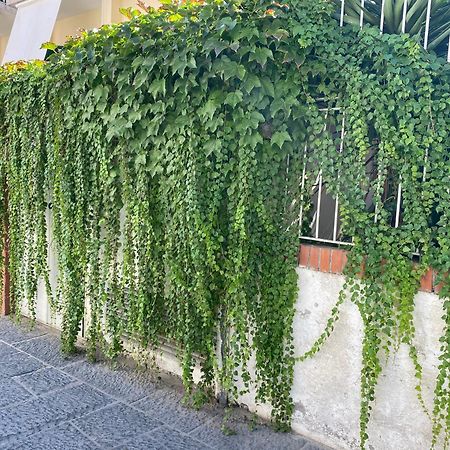 Ammore Ammare Apartment Ischia Exterior photo